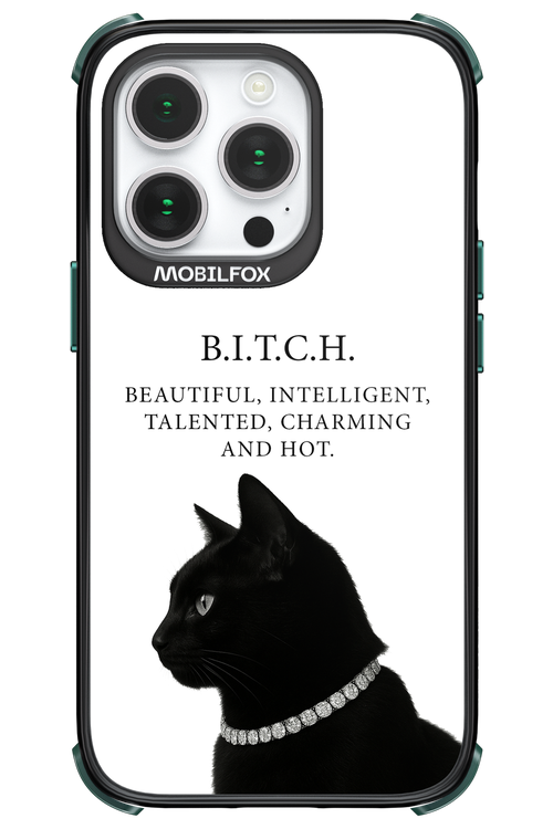 B. i. t. c. h. - Apple iPhone 14 Pro