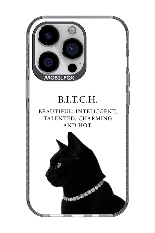 B. i. t. c. h. 2.0 - Apple iPhone 13 Pro