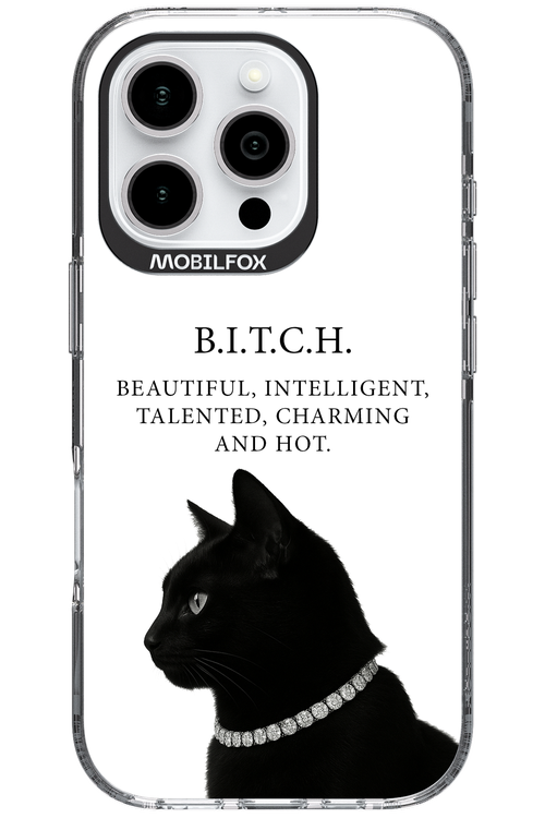 B. i. t. c. h. - Apple iPhone 16 Pro