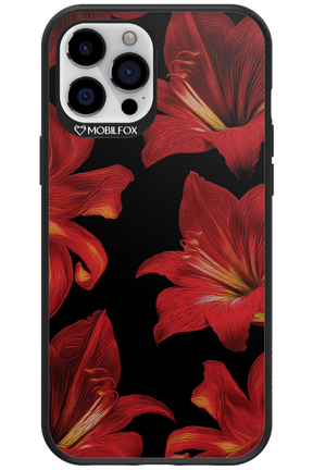 Amaryllis Noir - Apple iPhone 12 Pro Max