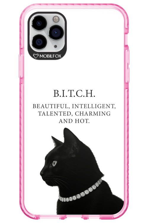 B. i. t. c. h. - Apple iPhone 11 Pro Max