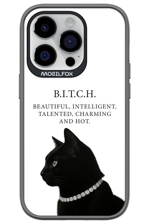 B. i. t. c. h. - Apple iPhone 14 Pro