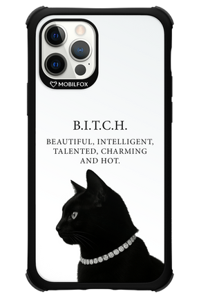 B. i. t. c. h. - Apple iPhone 12 Pro