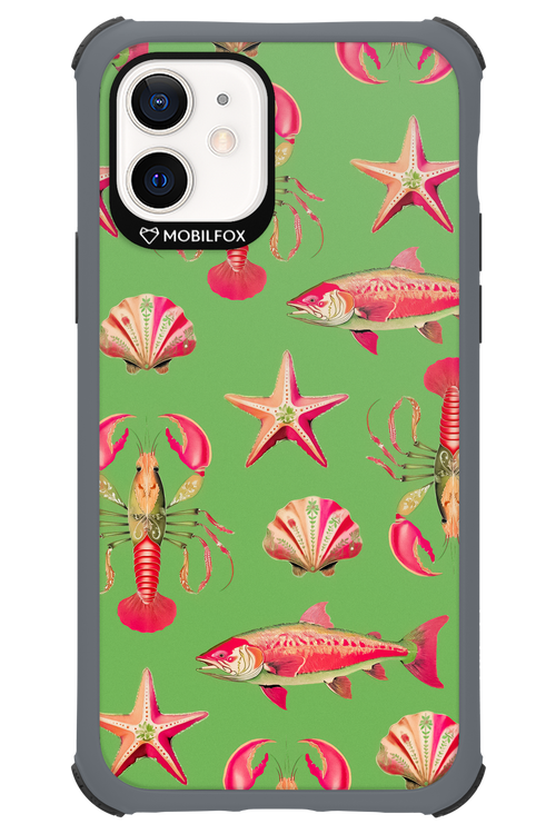 Sea Stars - Apple iPhone 12