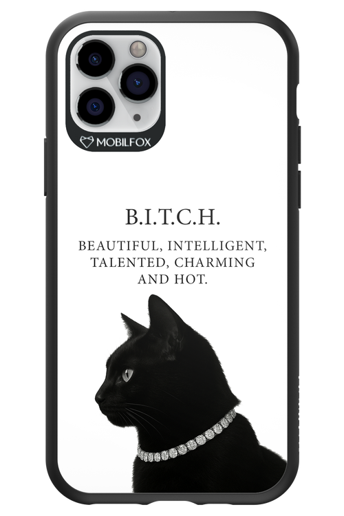 B. i. t. c. h. 2.0 - Apple iPhone 11 Pro