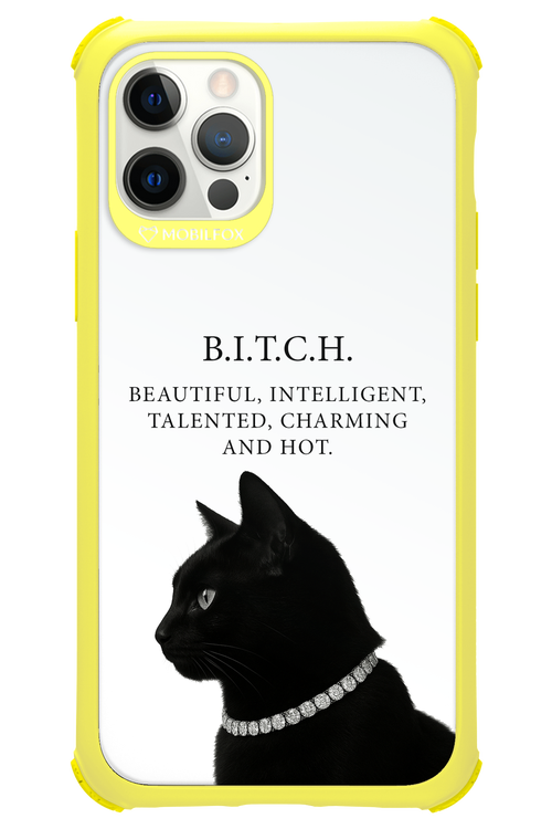 B. i. t. c. h. - Apple iPhone 12 Pro