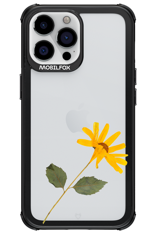 Pressed Flower - Apple iPhone 13 Pro Max