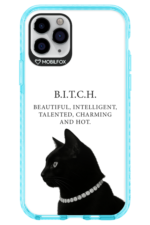 B. i. t. c. h. - Apple iPhone 11 Pro