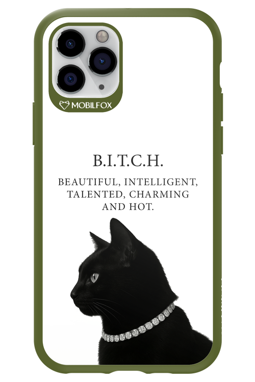 B. i. t. c. h. - Apple iPhone 11 Pro