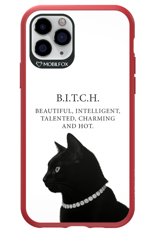 B. i. t. c. h. - Apple iPhone 11 Pro