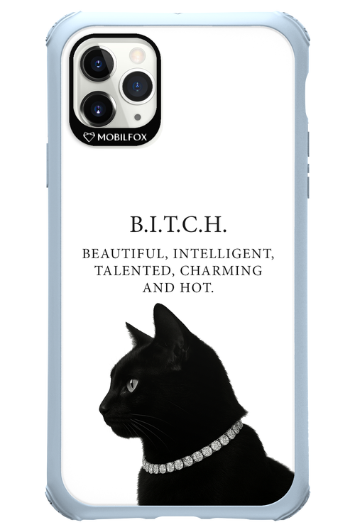 B. i. t. c. h. - Apple iPhone 11 Pro Max