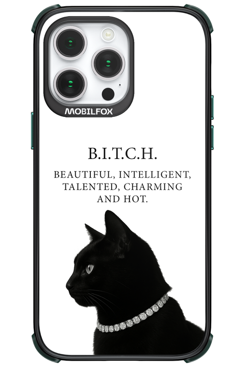 B. i. t. c. h. - Apple iPhone 14 Pro Max