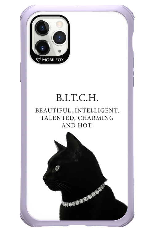 B. i. t. c. h. - Apple iPhone 11 Pro Max