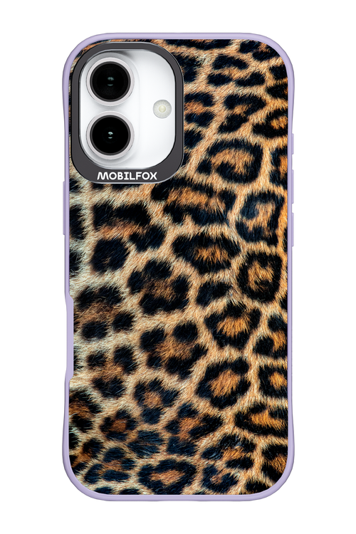 Leopard - Apple iPhone 17