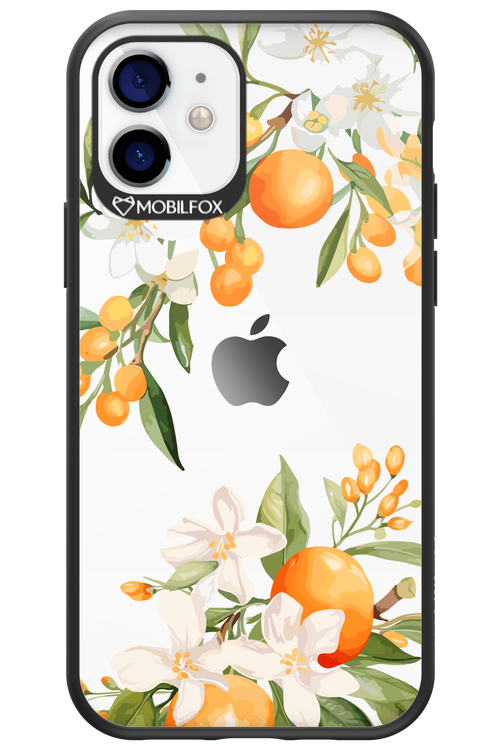Amalfi Orange 2.0 - Apple iPhone 12
