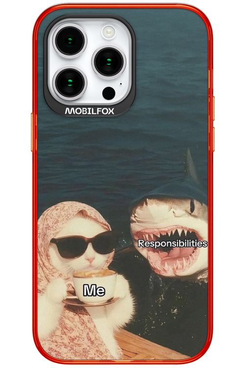 Responsibilities - Apple iPhone 15 Pro Max