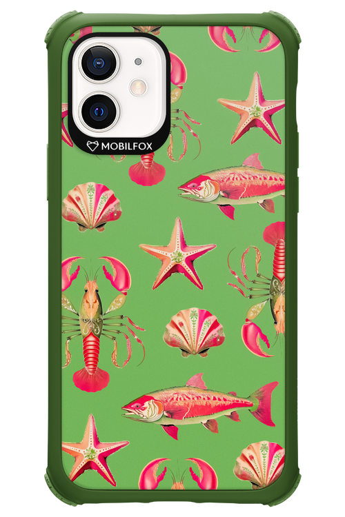 Sea Stars - Apple iPhone 12