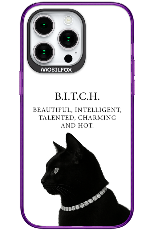 B. i. t. c. h. - Apple iPhone 15 Pro Max