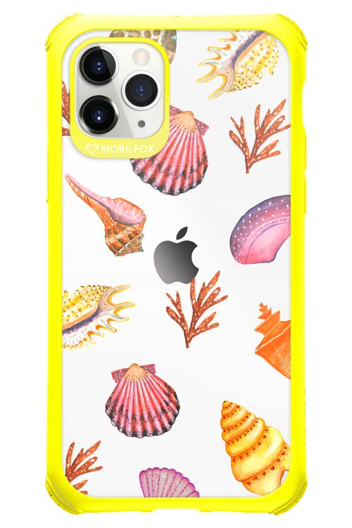 Sea Shells - Apple iPhone 11 Pro