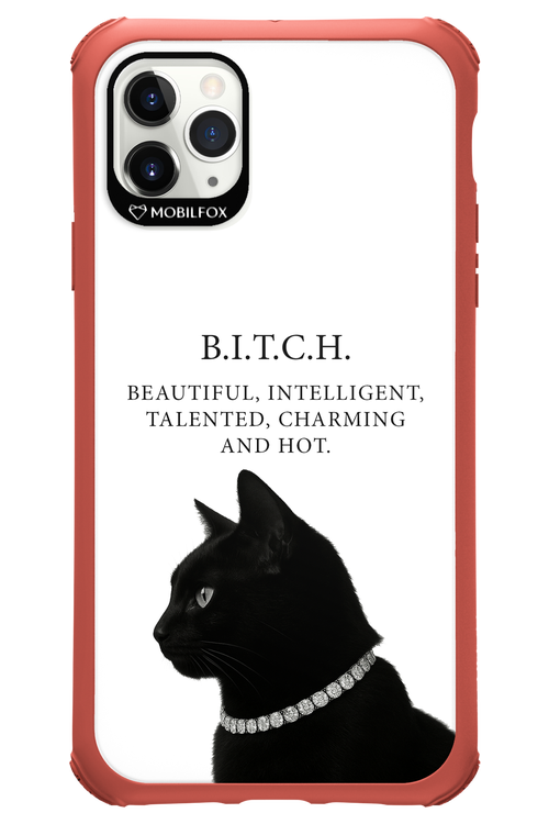 B. i. t. c. h. - Apple iPhone 11 Pro Max