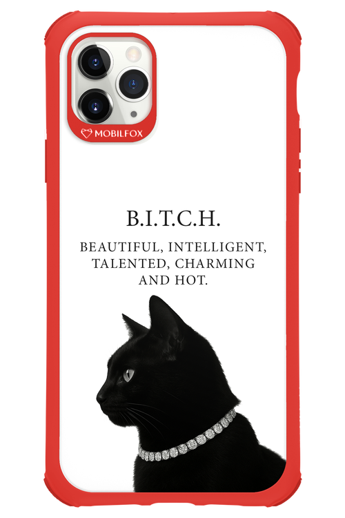 B. i. t. c. h. - Apple iPhone 11 Pro Max