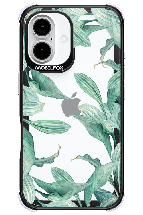 Greenpeace - Apple iPhone 16