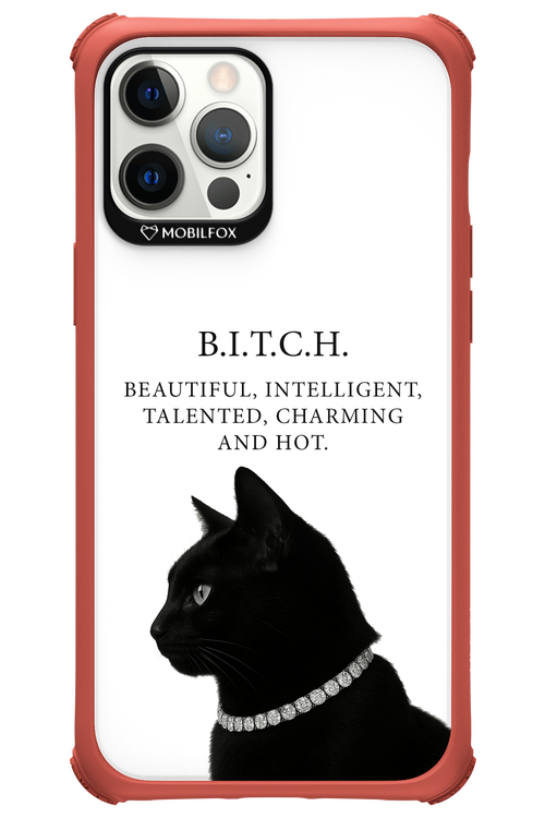 B. i. t. c. h. 2.0 - Apple iPhone 12 Pro Max