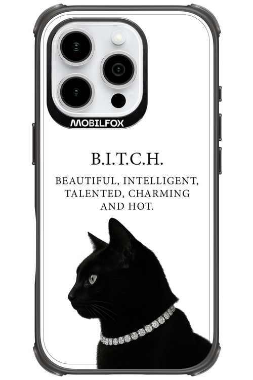 B. i. t. c. h. - Apple iPhone 16 Pro