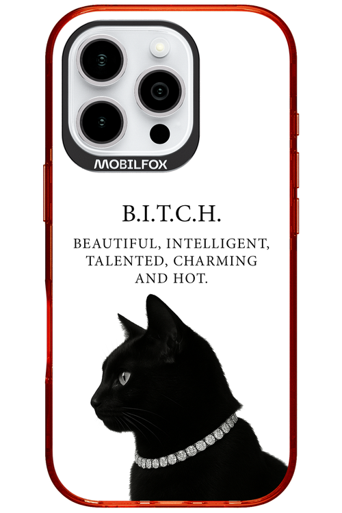 B. i. t. c. h. 2.0 - Apple iPhone 16 Pro