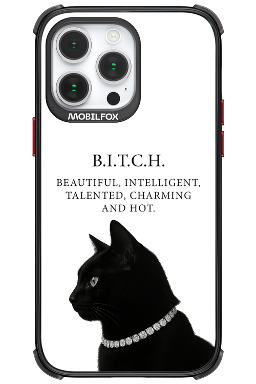 B. i. t. c. h. - Apple iPhone 14 Pro Max