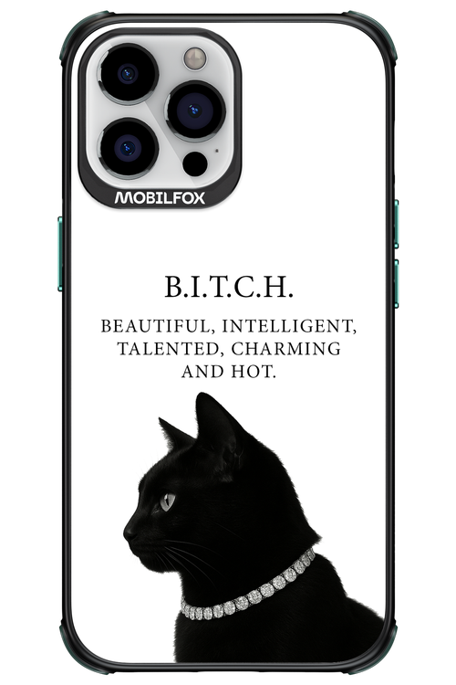 B. i. t. c. h. - Apple iPhone 13 Pro Max