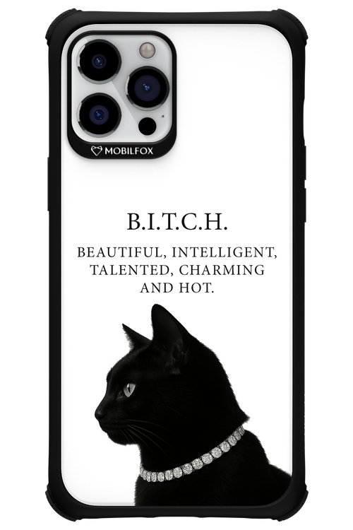 B. i. t. c. h. 2.0 - Apple iPhone 12 Pro Max