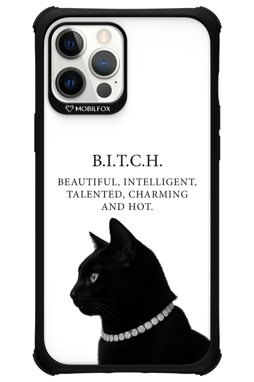 B. i. t. c. h. - Apple iPhone 12 Pro Max