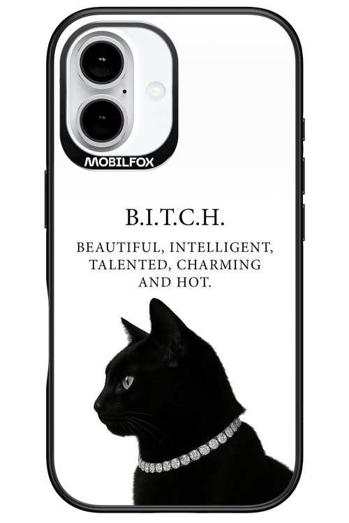 B. i. t. c. h. - Apple iPhone 16