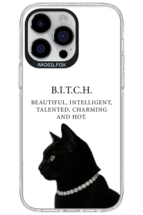 B. i. t. c. h. - Apple iPhone 14 Pro Max