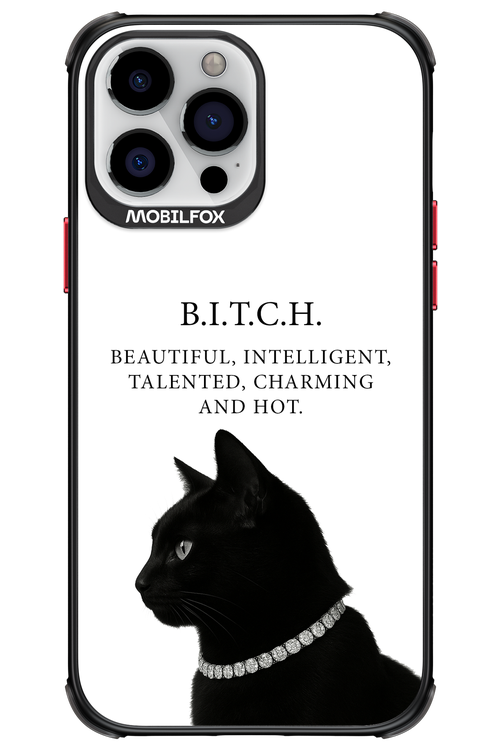 B. i. t. c. h. - Apple iPhone 13 Pro Max