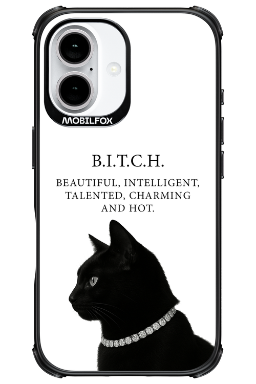 B. i. t. c. h. - Apple iPhone 16