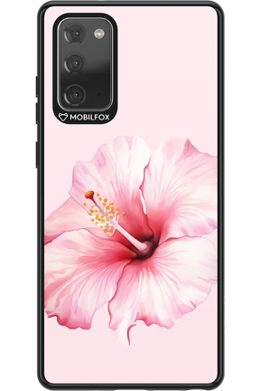 HibiPinky 2.0 - Samsung Galaxy Note 20