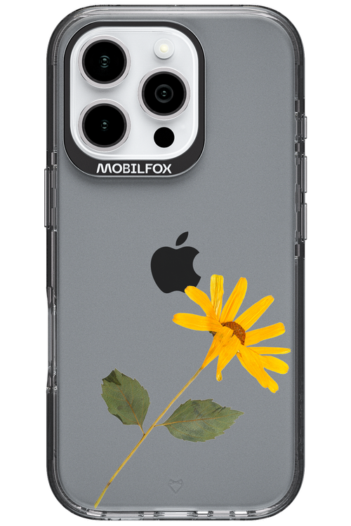 Pressed Flower - Apple iPhone 16 Pro