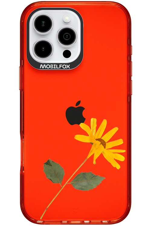 Pressed Flower - Apple iPhone 16 Pro Max