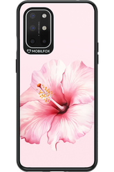 HibiPinky - OnePlus 8T