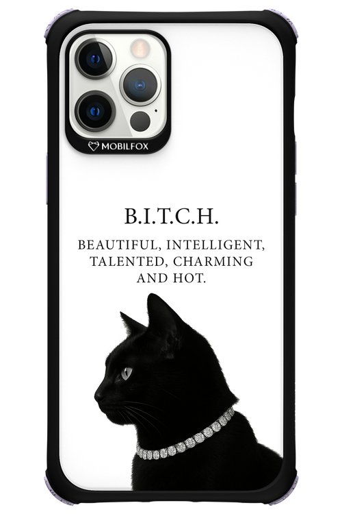 B. i. t. c. h. - Apple iPhone 12 Pro Max