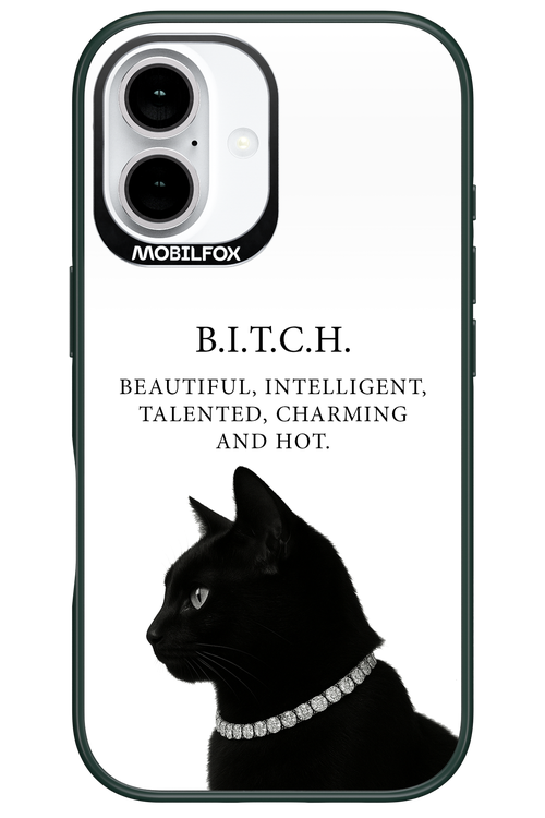 B. i. t. c. h. - Apple iPhone 16