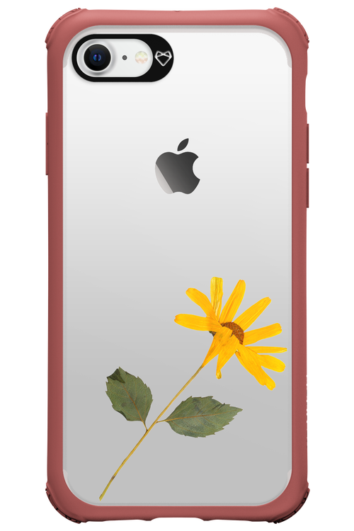 Pressed Flower - Apple iPhone 7