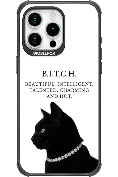 B. i. t. c. h. - Apple iPhone 15 Pro Max