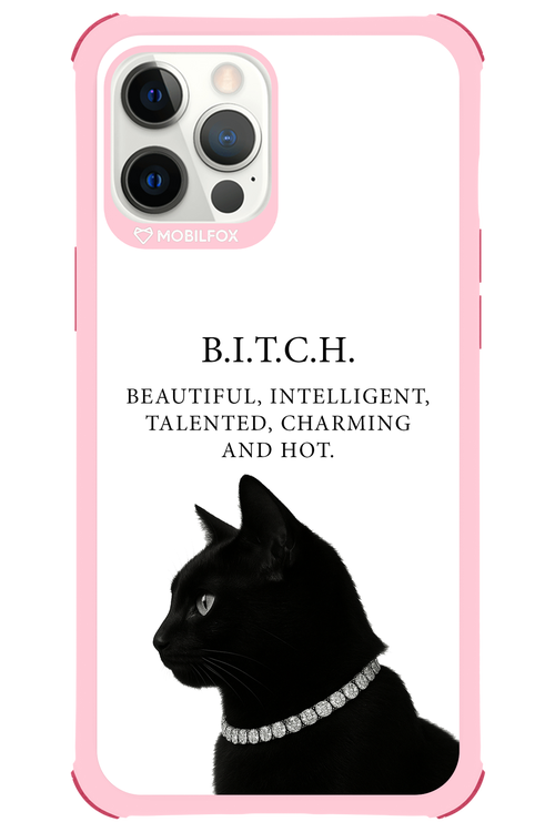 B. i. t. c. h. 2.0 - Apple iPhone 12 Pro Max