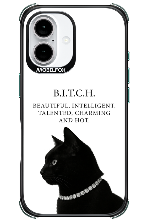 B. i. t. c. h. - Apple iPhone 16