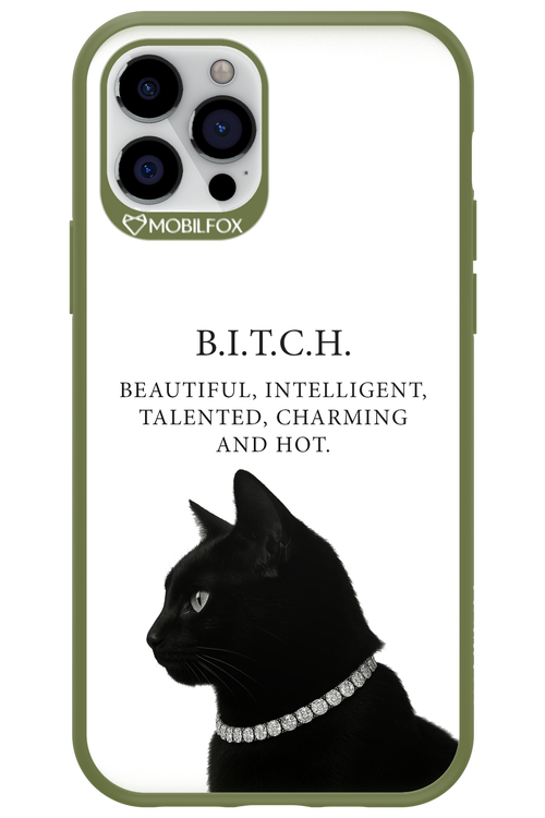 B. i. t. c. h. - Apple iPhone 12 Pro