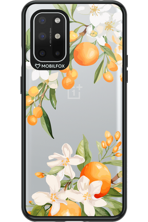 Amalfi Orange - OnePlus 8T