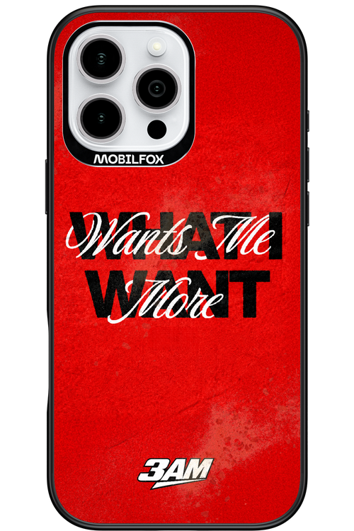 WHAT I WANT 2.0 - Apple iPhone 16 Pro Max